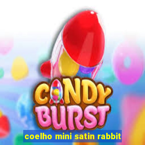 coelho mini satin rabbit